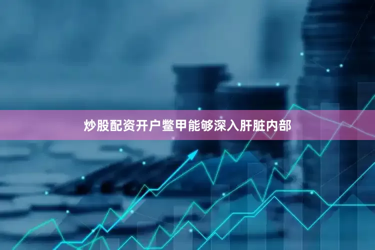 炒股配资开户鳖甲能够深入肝脏内部