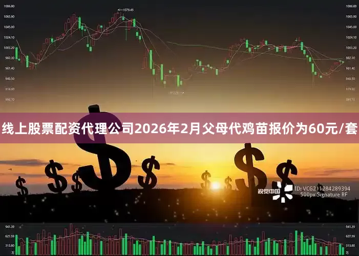 线上股票配资代理公司2026年2月父母代鸡苗报价为60元/套